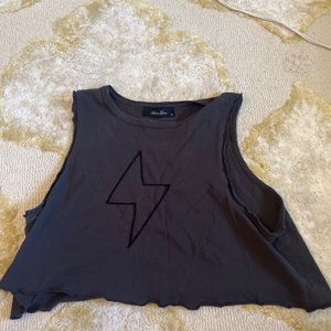 Lizard Thicket crop top